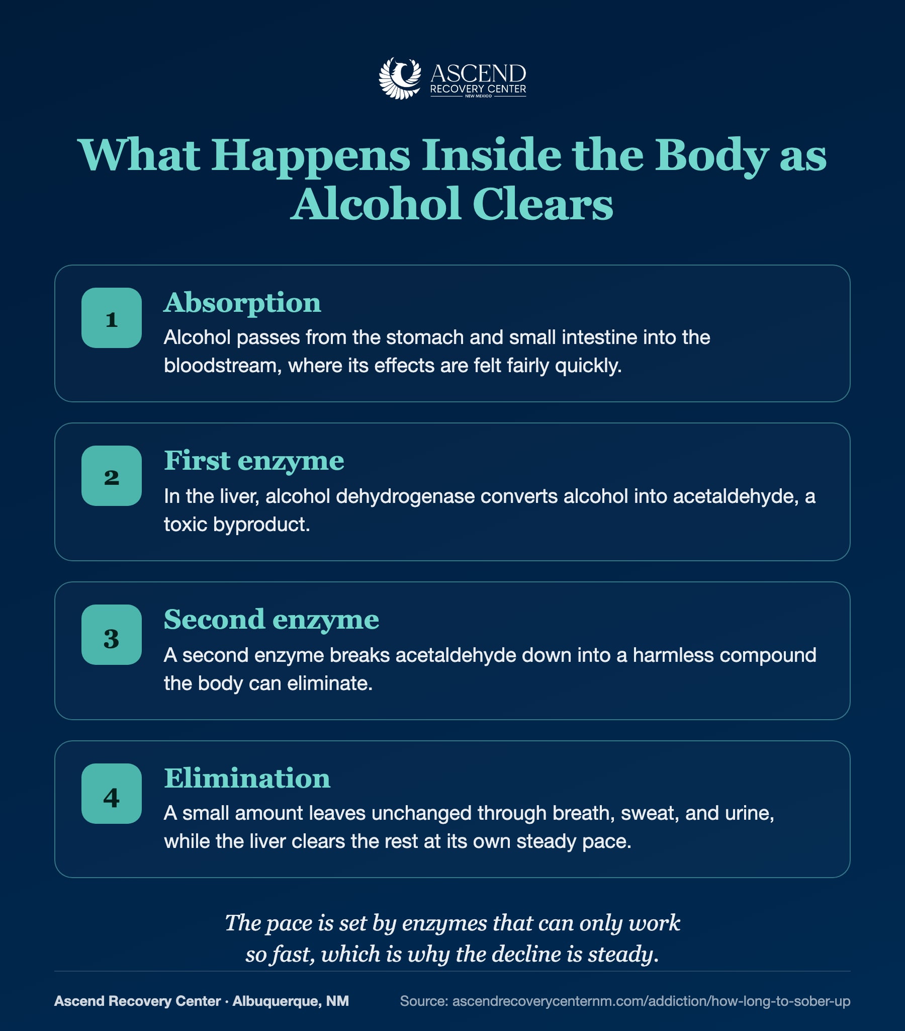 Four-step diagram of how the body clears alcohol: absorption, first enzyme, second enzyme, and elimination