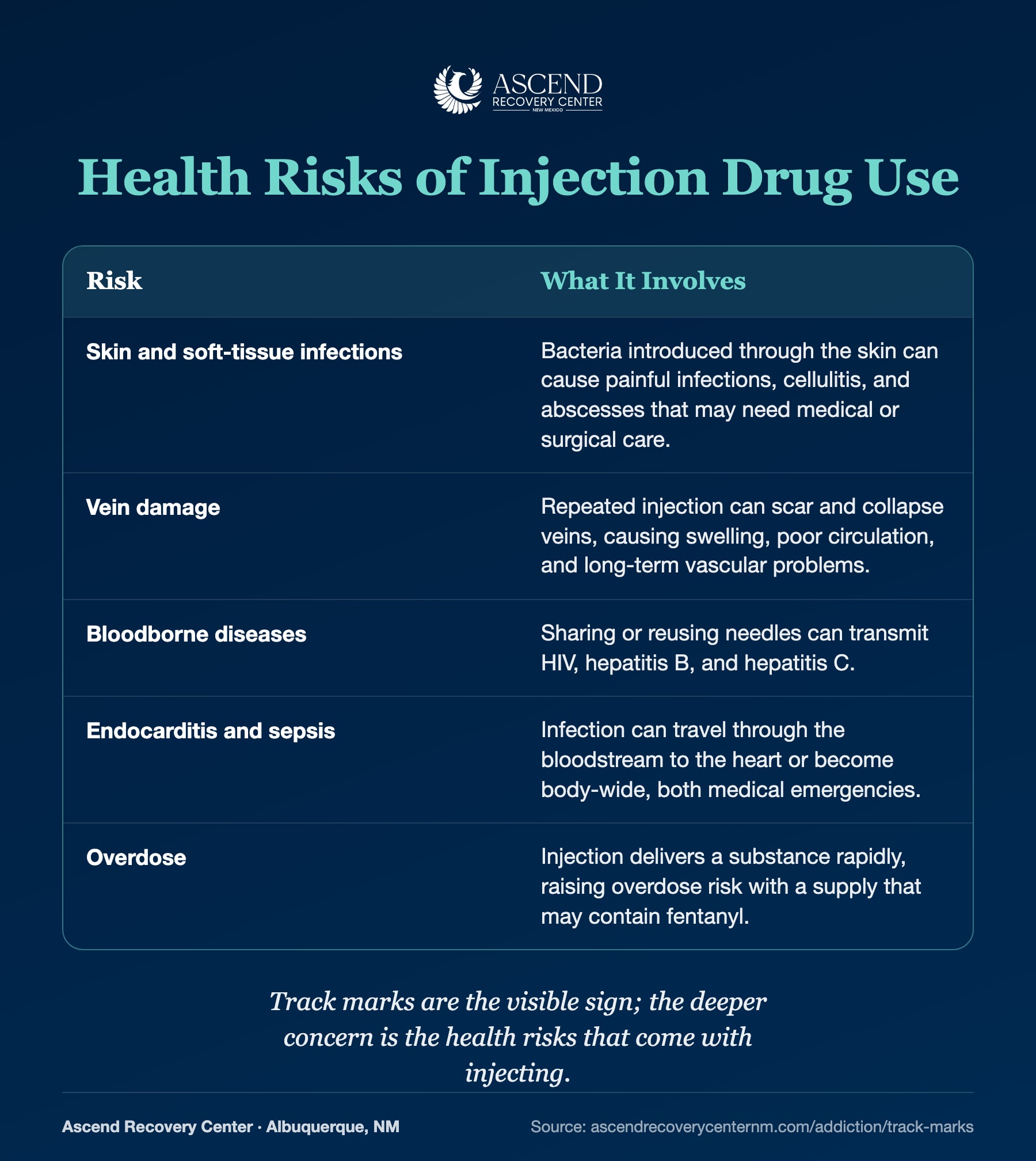 Table of health risks of injection drug use: skin and soft-tissue infections, vein damage, bloodborne diseases, endocarditis and sepsis, and overdose
