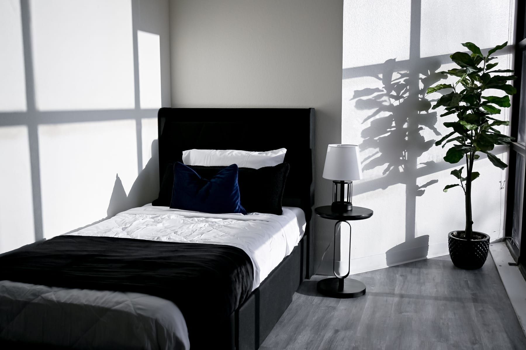 Bright residential bedroom with natural window light, a black bed frame, and a navy accent pillow at Ascend Recovery Center Albuquerque